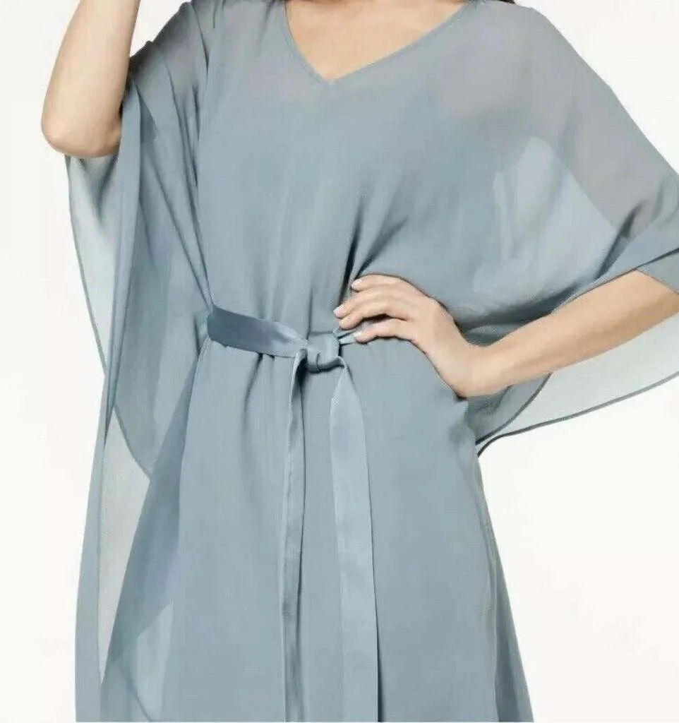 Bluesteel Silk Georgette Dress