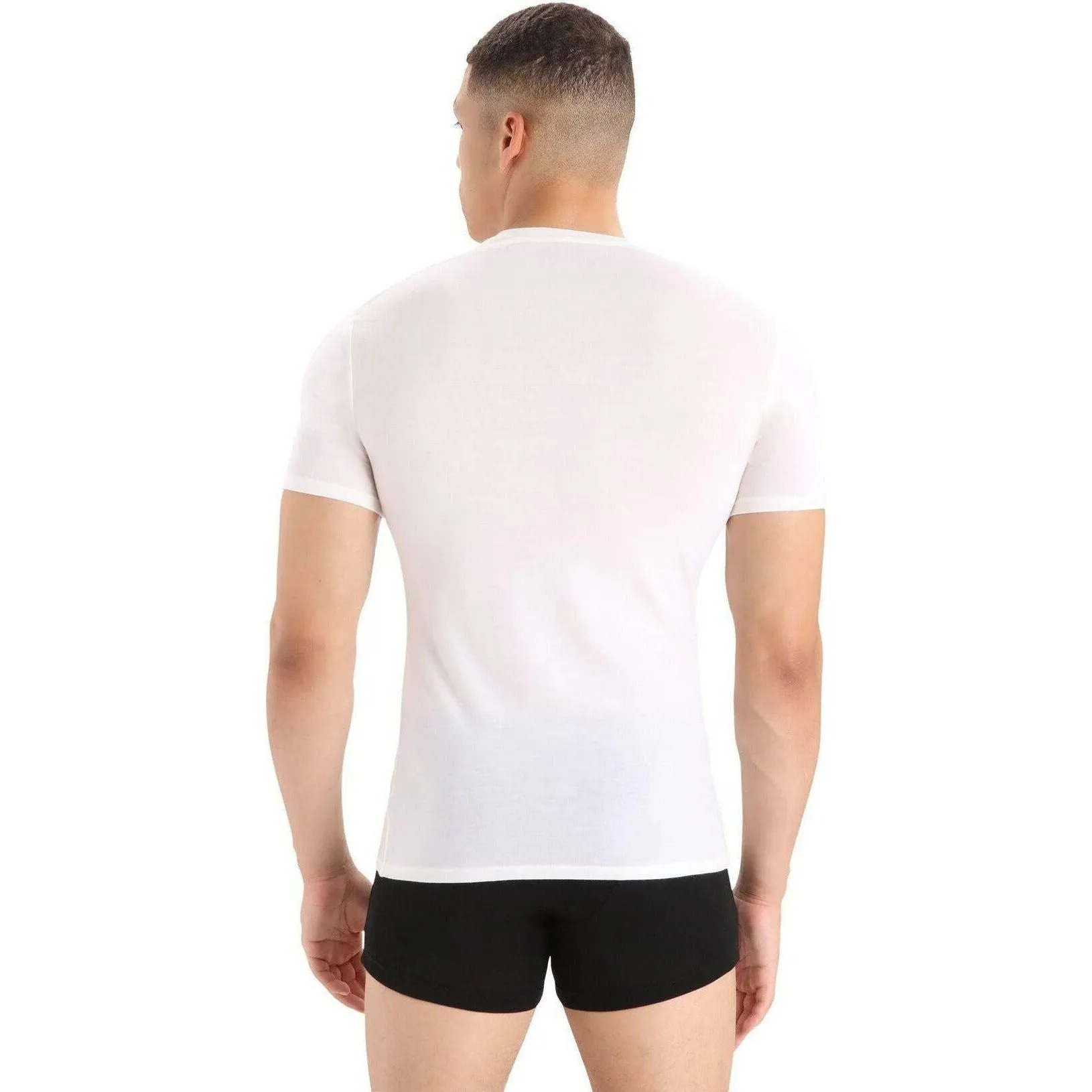 Icebreaker Men's Merino Anatomica Crewe T-shirt