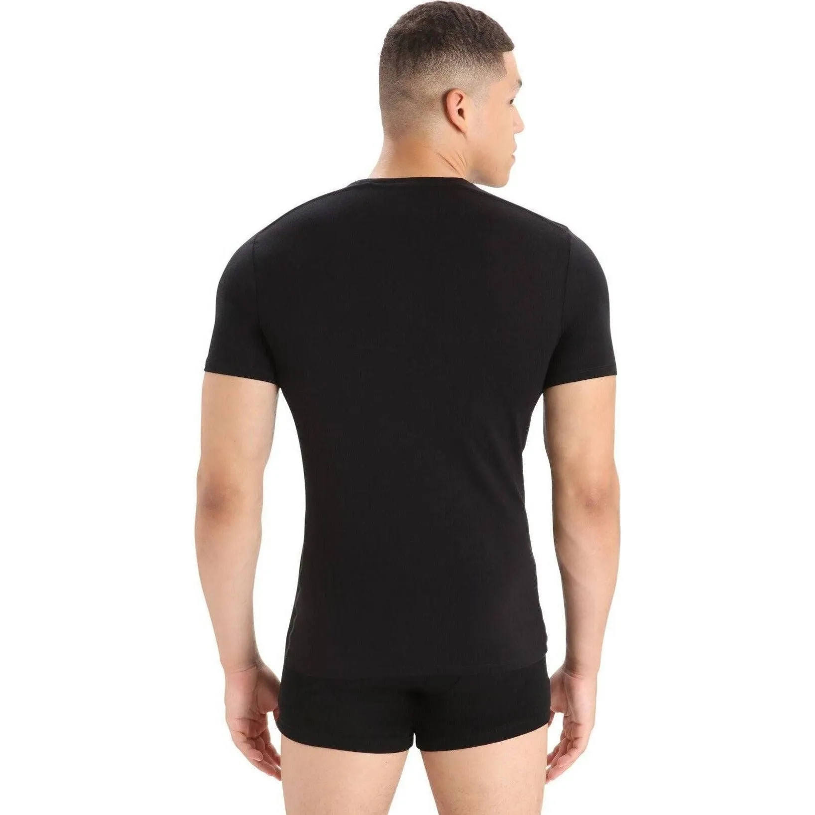 Icebreaker Men's Merino Anatomica Crewe T-shirt